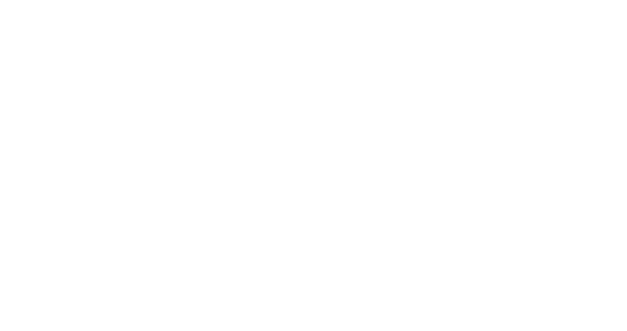 Holzer Beratung